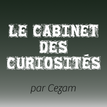 Cabinet curiosites   visuel